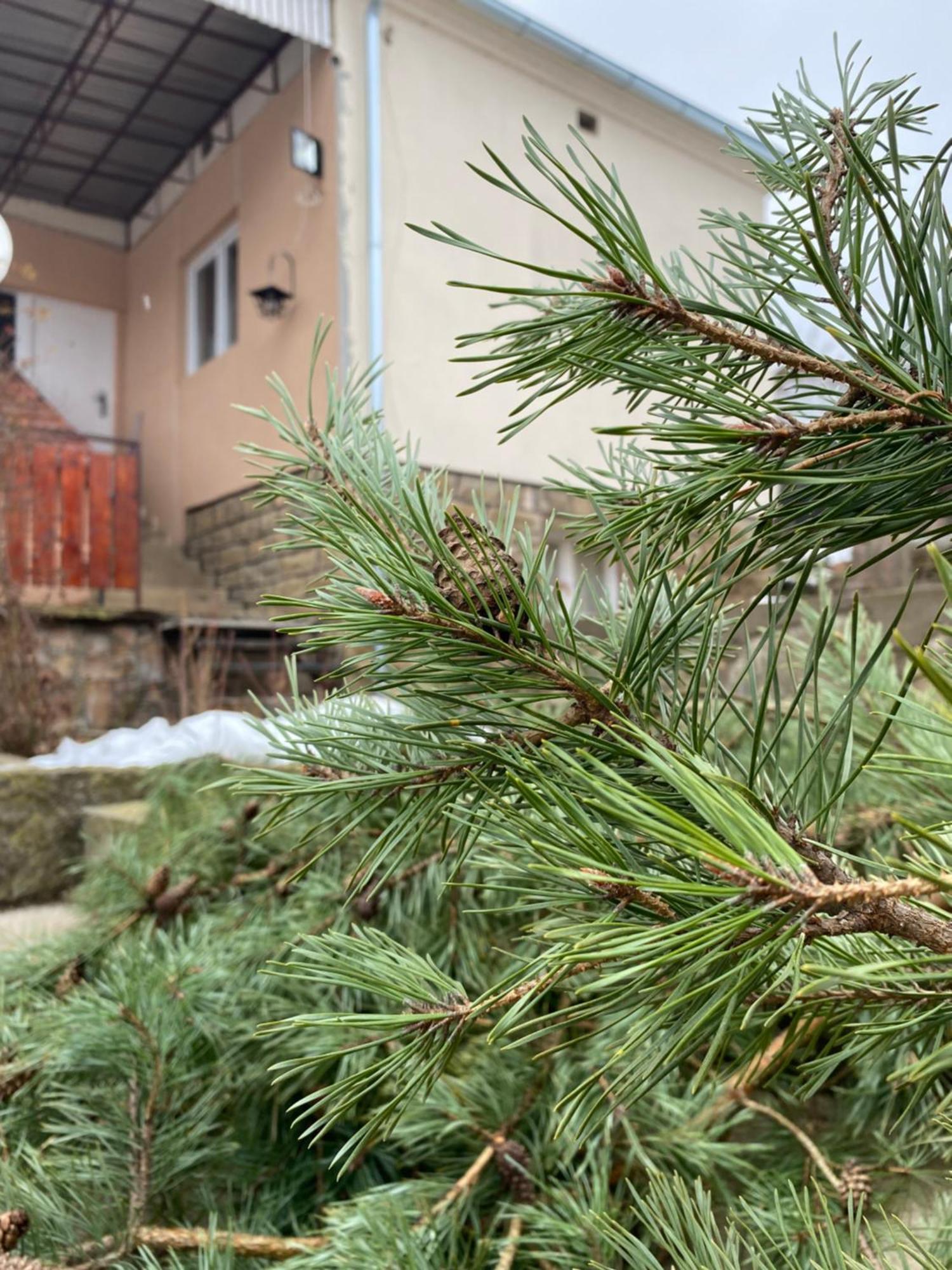 Seosko Turisticko Domacinstvo Stanisic Apartment Kalna ภายนอก รูปภาพ
